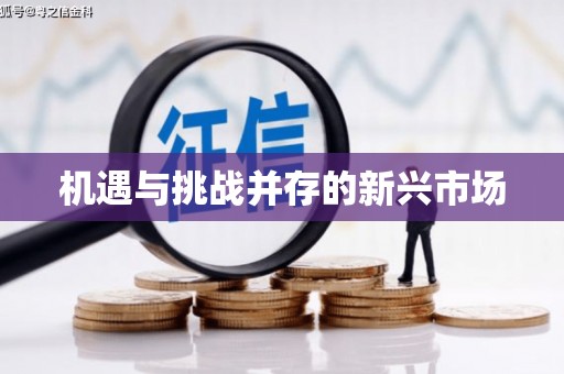 长寿机遇与挑战并存的新兴市场