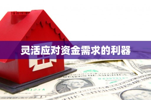 长寿灵活应对资金需求的利器
