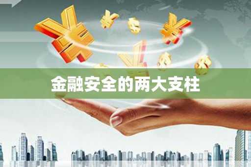 长寿金融安全的两大支柱