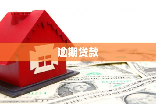长寿逾期贷款