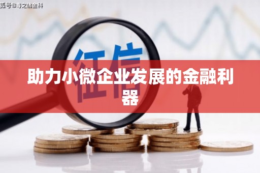 长寿助力小微企业发展的金融利器