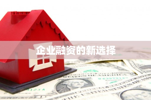 长寿企业融资的新选择