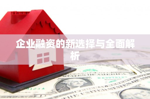 长寿企业融资的新选择与全面解析
