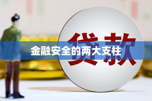 长寿金融安全的两大支柱