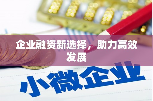 长寿企业融资新选择，助力高效发展