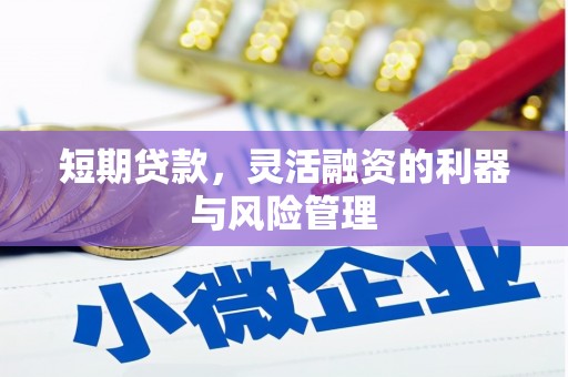 长寿短期贷款，灵活融资的利器与风险管理