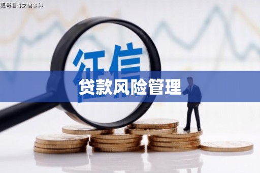 长寿贷款风险管理