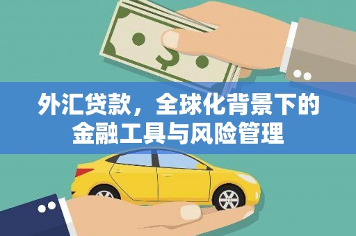 长寿外汇贷款，全球化背景下的金融工具与风险管理