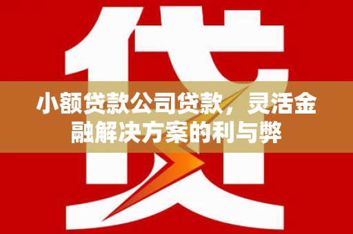 长寿小额贷款公司贷款，灵活金融解决方案的利与弊