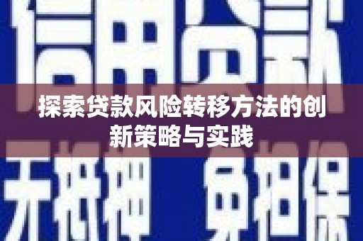 长寿探索贷款风险转移方法的创新策略与实践
