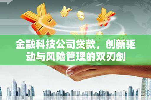 长寿金融科技公司贷款，创新驱动与风险管理的双刃剑