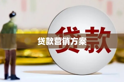 长寿贷款营销方案